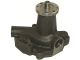 Holdwell water pump X860114920746 for Hanomag 401 E