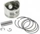HOLDWELL Piston Assembly  13101-ZE2-W00 For Honda GX240