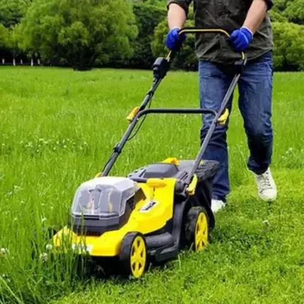 Forestry & Landscaping