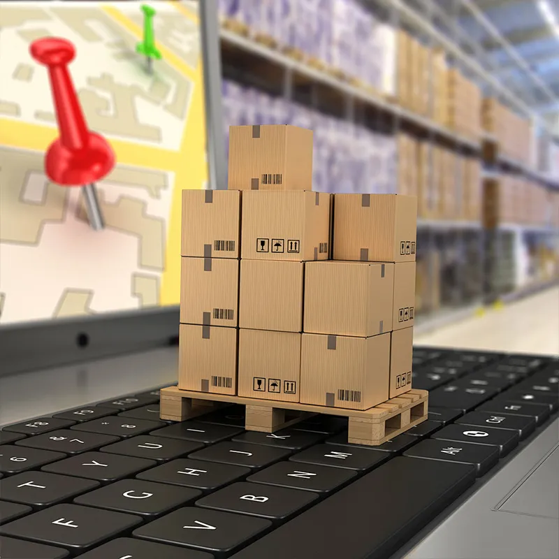 Sourcing & Supply Chain