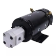 hydraulic motor